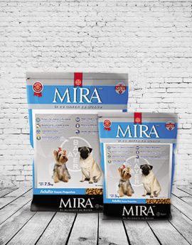 MIRA ADULTO RAZA PEQUEÑA