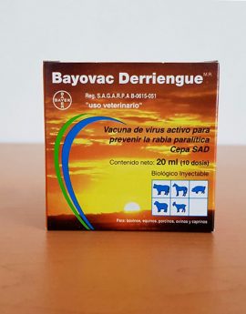 BAYOVAC DERRIENGUE