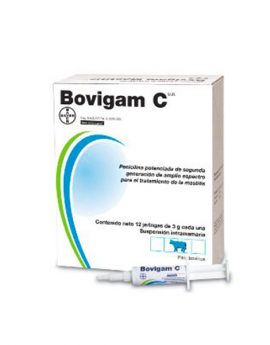 BOVIGAM CLAV