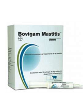 BOVIGAM MASTITIS