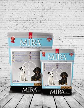 MIRA CACHORRO RAZA PEQUEÑA