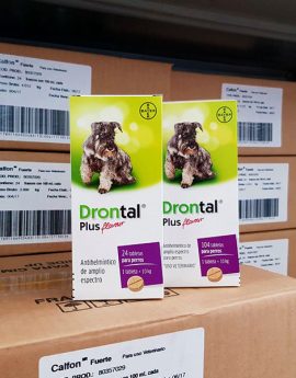 DRONTAL PLUS FLAVOUR