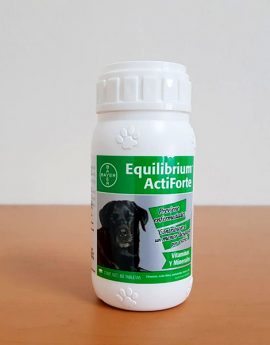 EQUILIBRIUM ACTIFORTE
