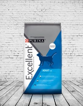 EXCELLENT ADULT GATO