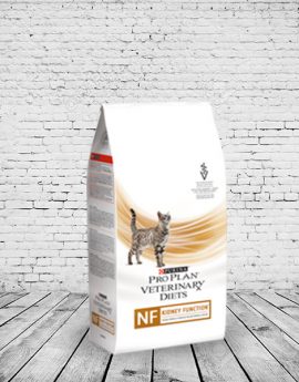 PVD CAT NF (RENAL)